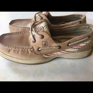 Sperry Top spider size 7 M